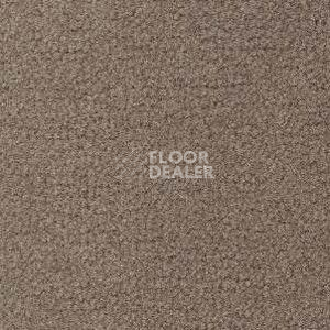 Ковролин Radici Forum Antilope 2402 фото 1 | FLOORDEALER